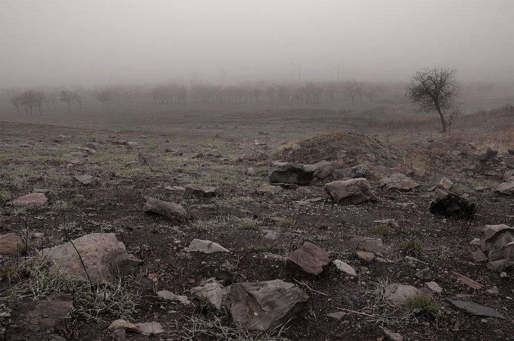 , Дeнис Бoдрoв