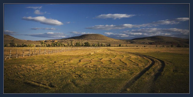 *  фото превью