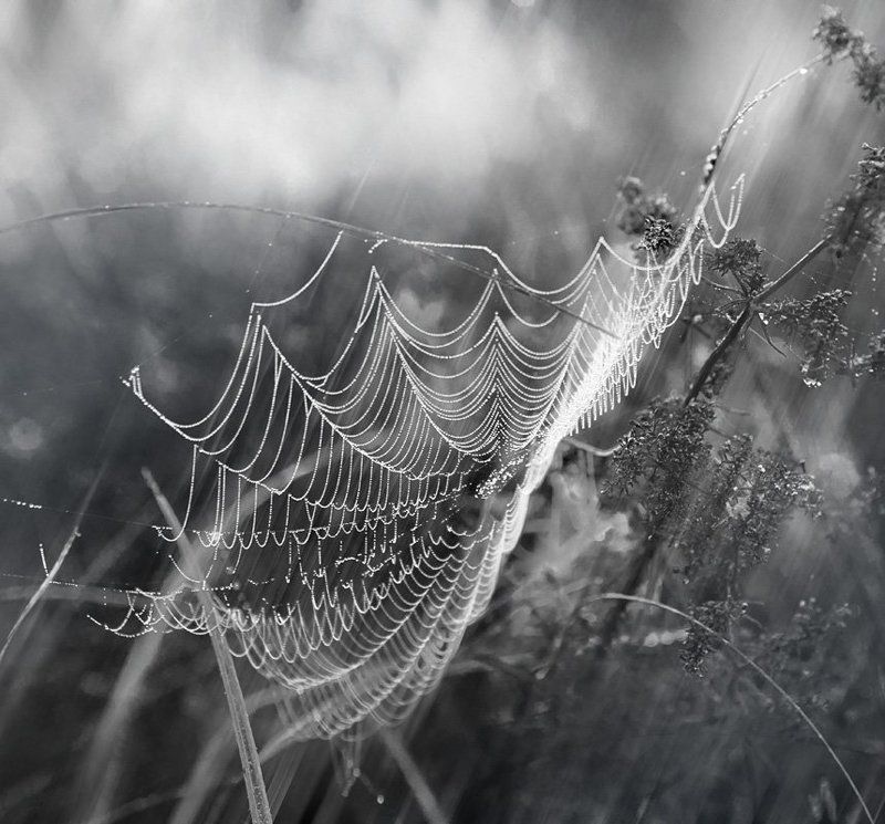 ... фото превью