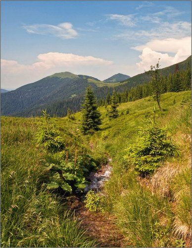 Карпатская открытка