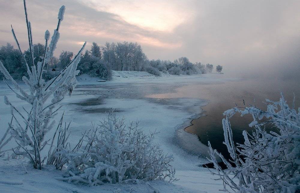, Николай Морский