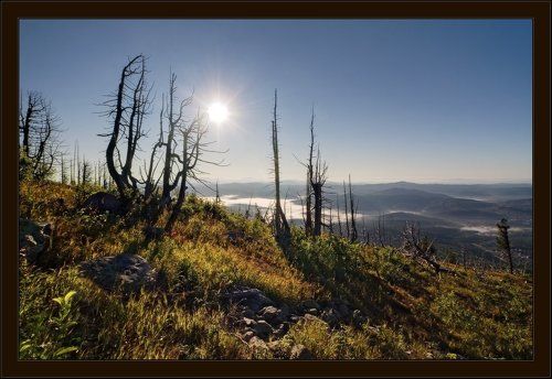 Утро на Мустаге