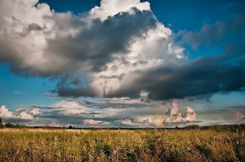 Творение природы фото превью