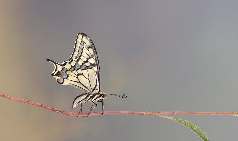 виндсёрфинг фото превью