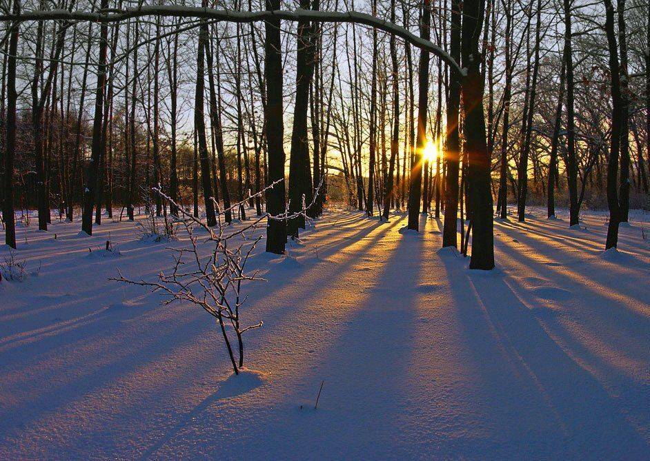 , Игорь Мелекесцев