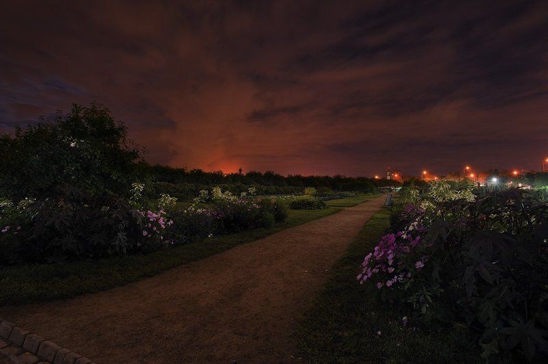 *** фото превью