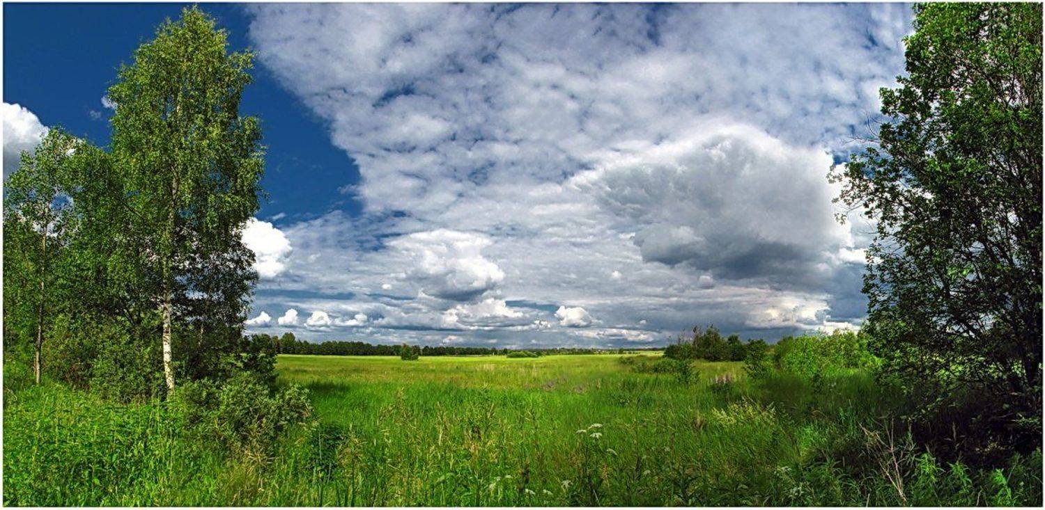 лето, природа, пейзаж, деревня, SvetLana