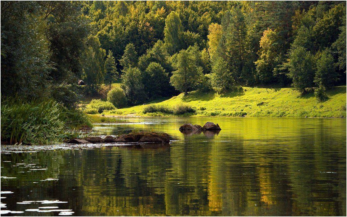 , Николай Шахманцир