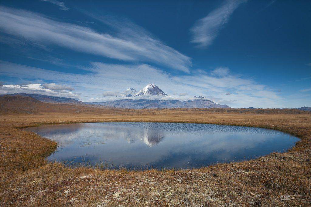 камчатка, ключевской природный  парк, Сергей Краснощёков
