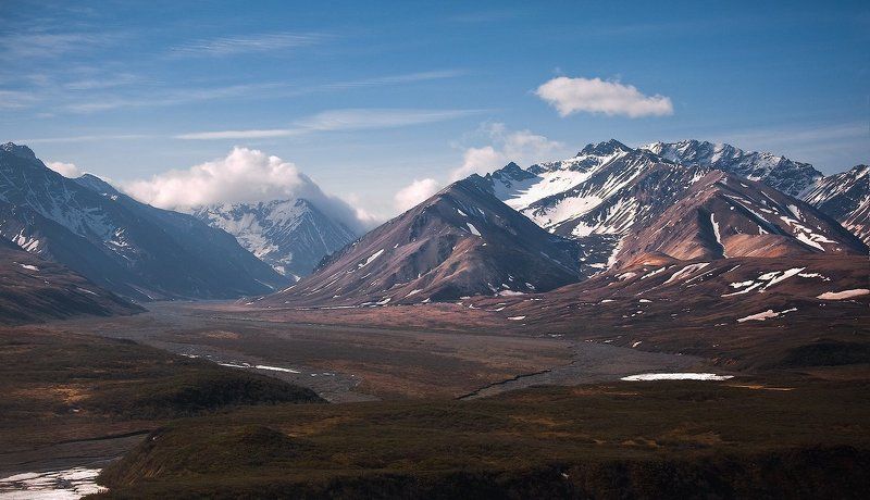 Тундра в июне. фото превью