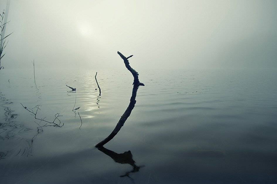 , Rimantas Bikulcius