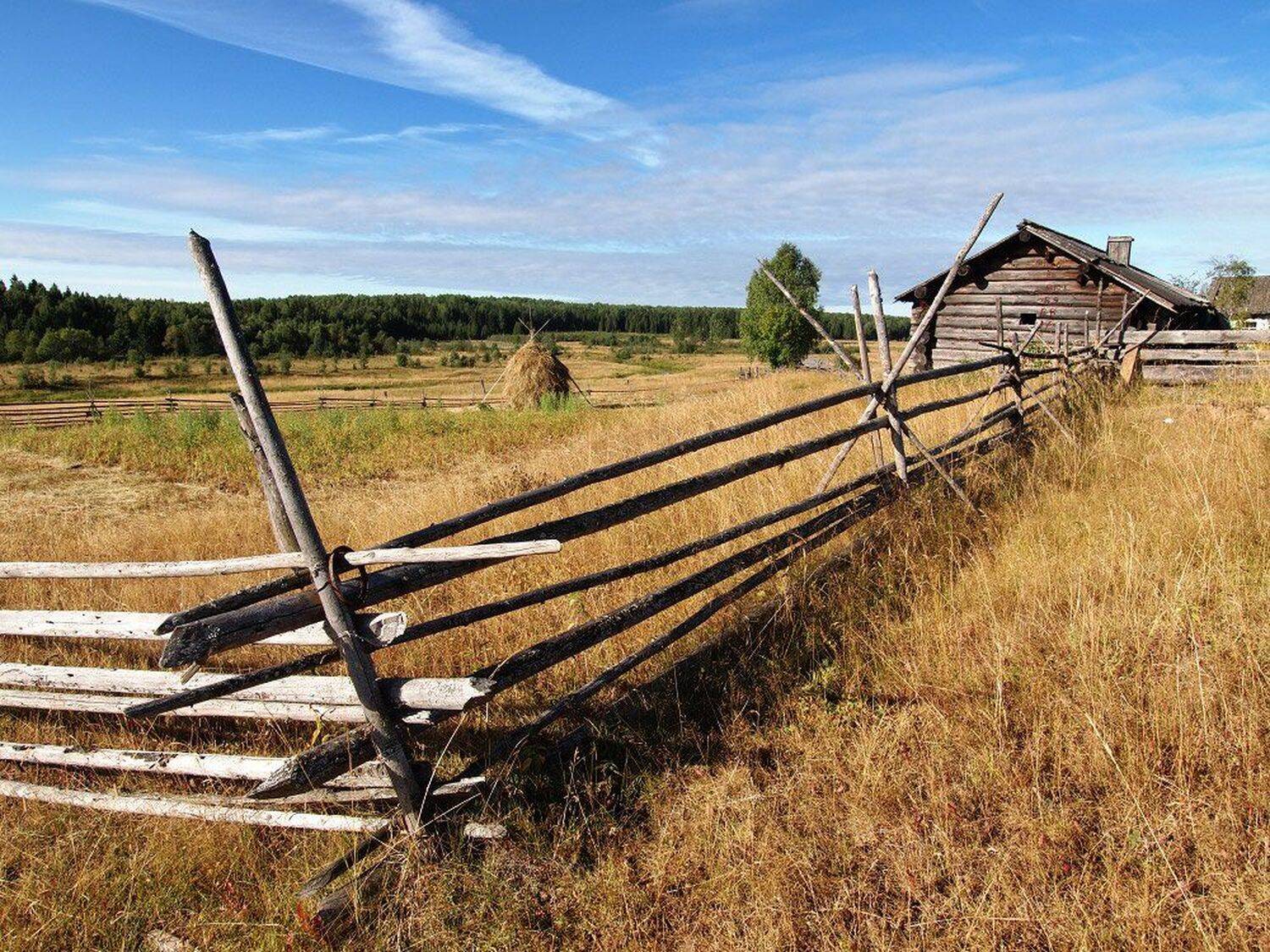 , Максим Евдокимов