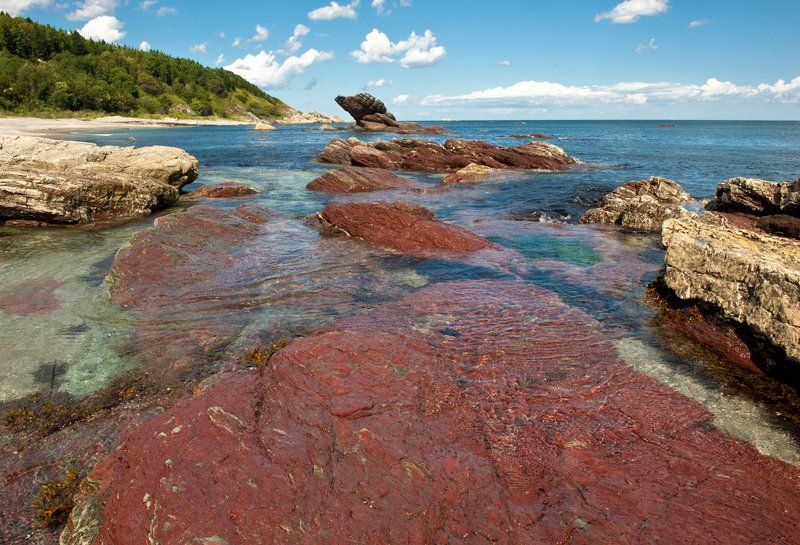 Сентябрь  по-сахалински фото превью