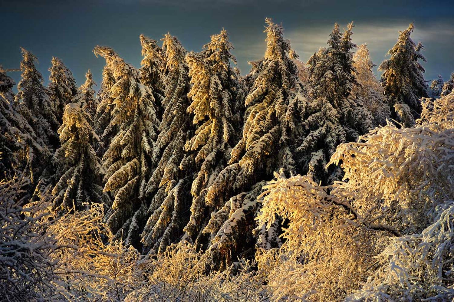 , Bratukhin Alexander A___L___E___X