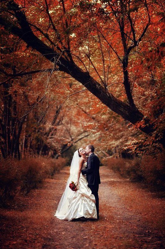 wedding фото превью