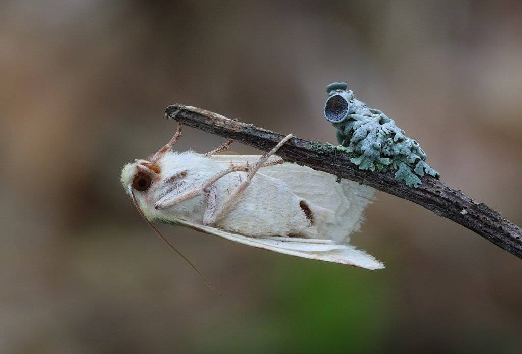 , Сергей Таланов