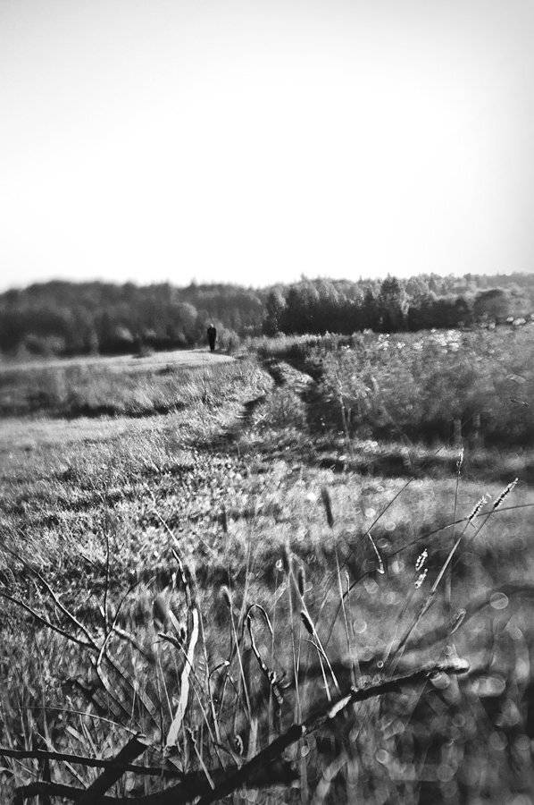 , Тимофеевский Валерий