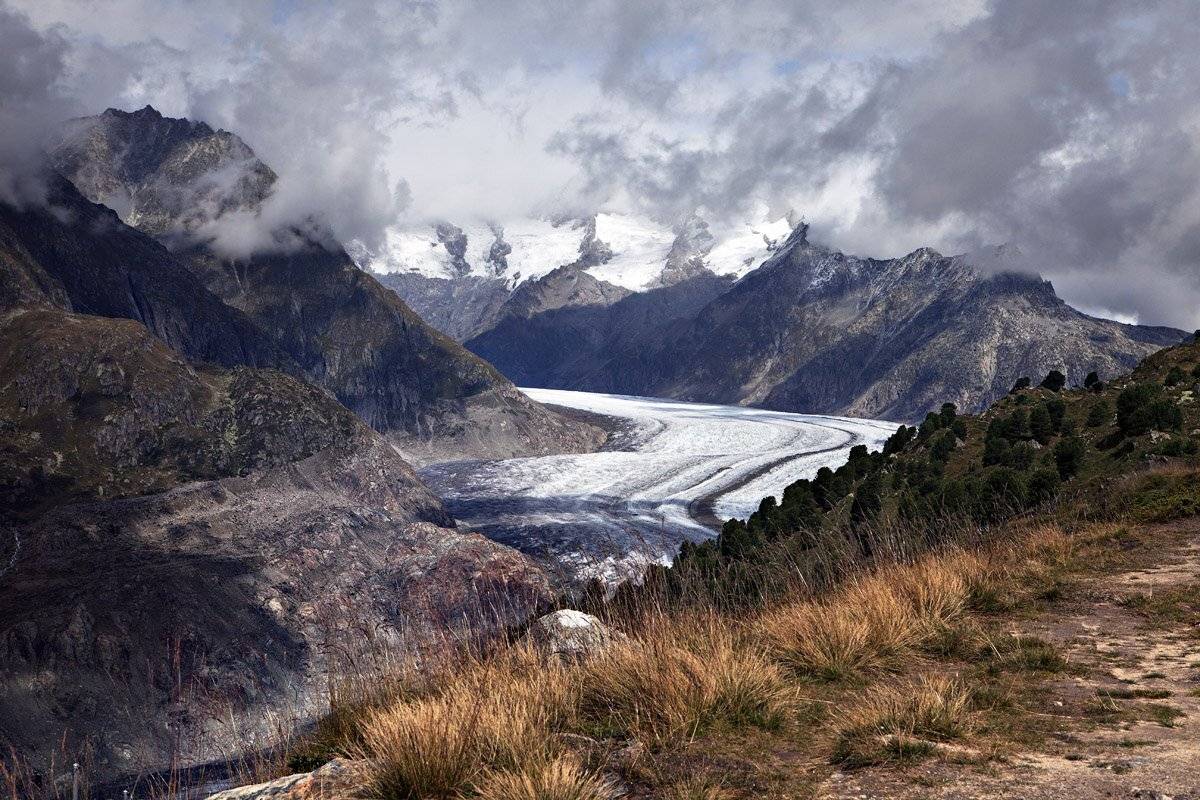 swiss, Матвеев Николай