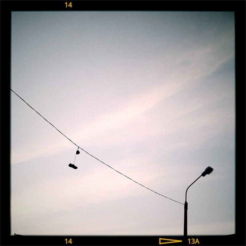 поводок фото превью