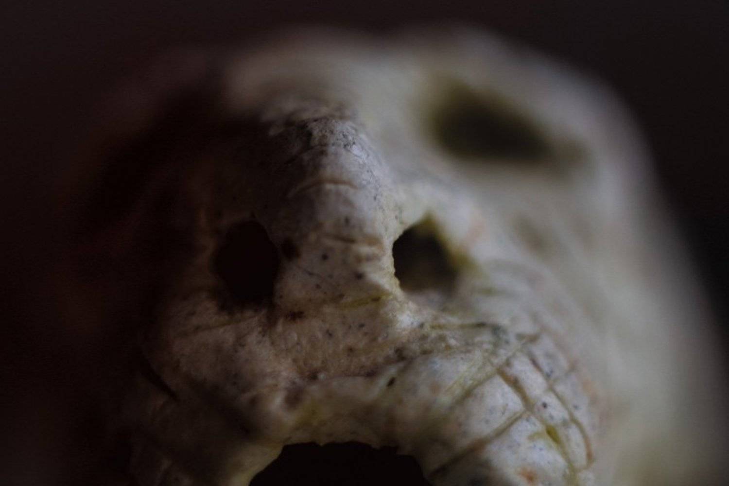 , Дмитрий Тараторкин