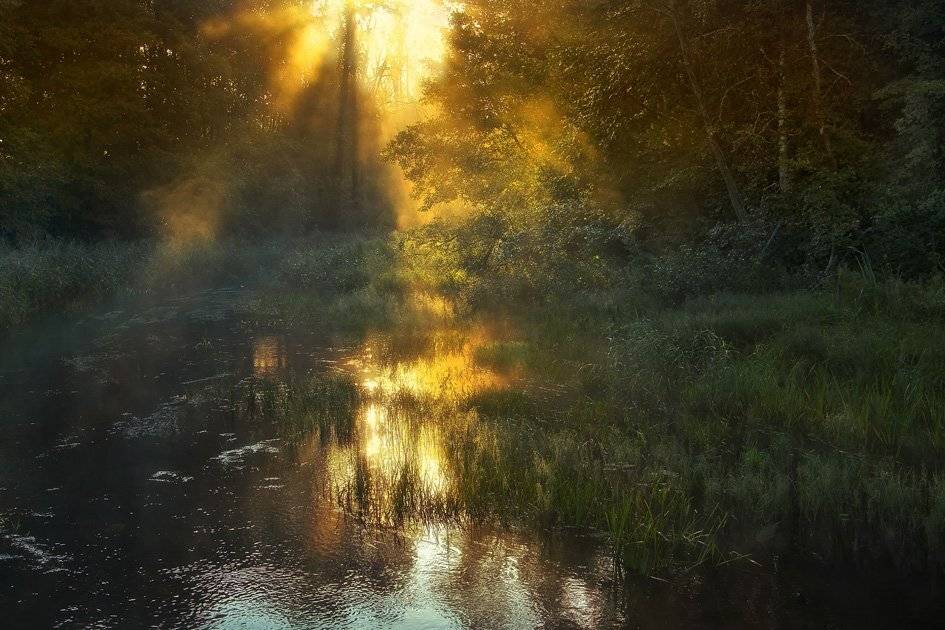 , Rimantas Bikulcius