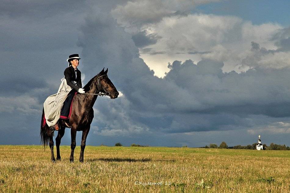бородино, кулешов евгений, осень, леди, всадник, всадница, наездница, конь, русь, Кулешов Евгений