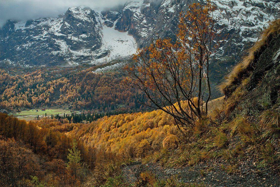 лагонаки, фиштинский приют, осень, Mikhail Z