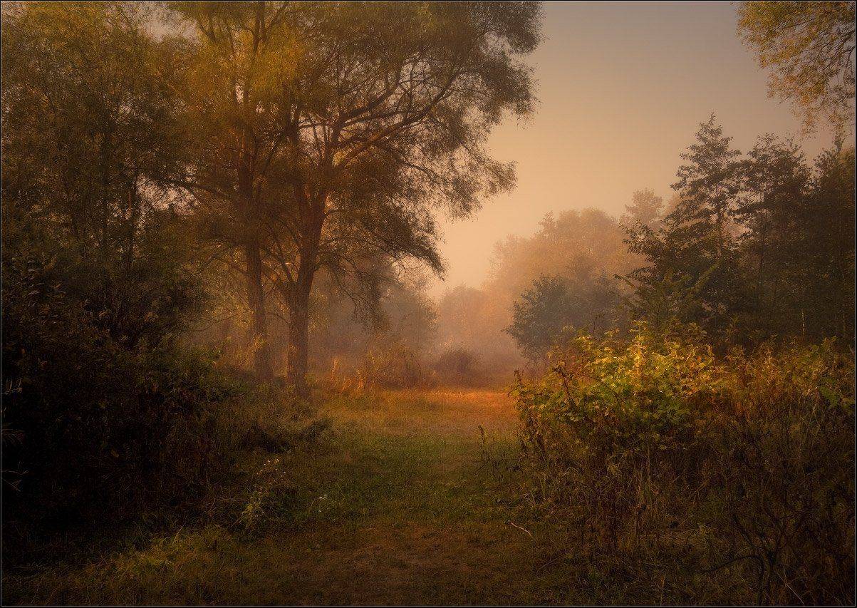 лето, картина, пастораль, Александр Киценко