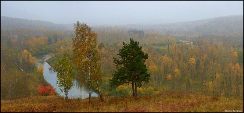 нсо, малиновка, новососедово, бердь, река ,дождь, осень, иванов пуп, салаирский кряж, аня графова Осеннее настроение фото превью