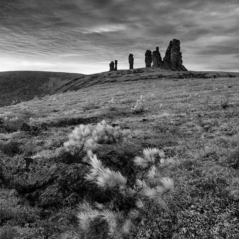 *** фото превью