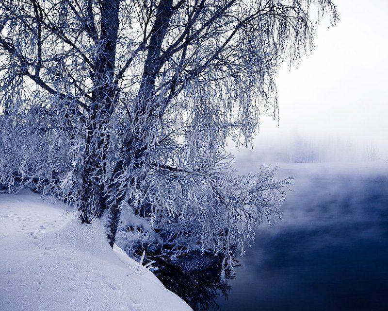 Winter slumber фото превью