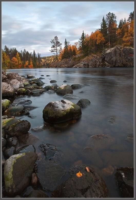 , Сергей Захаров.