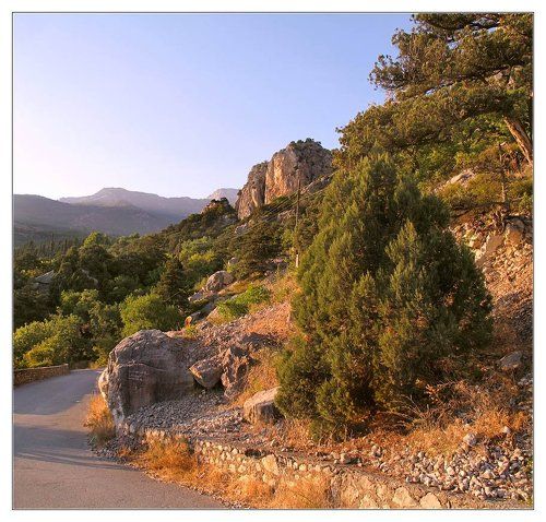 Крымская обыкновенная