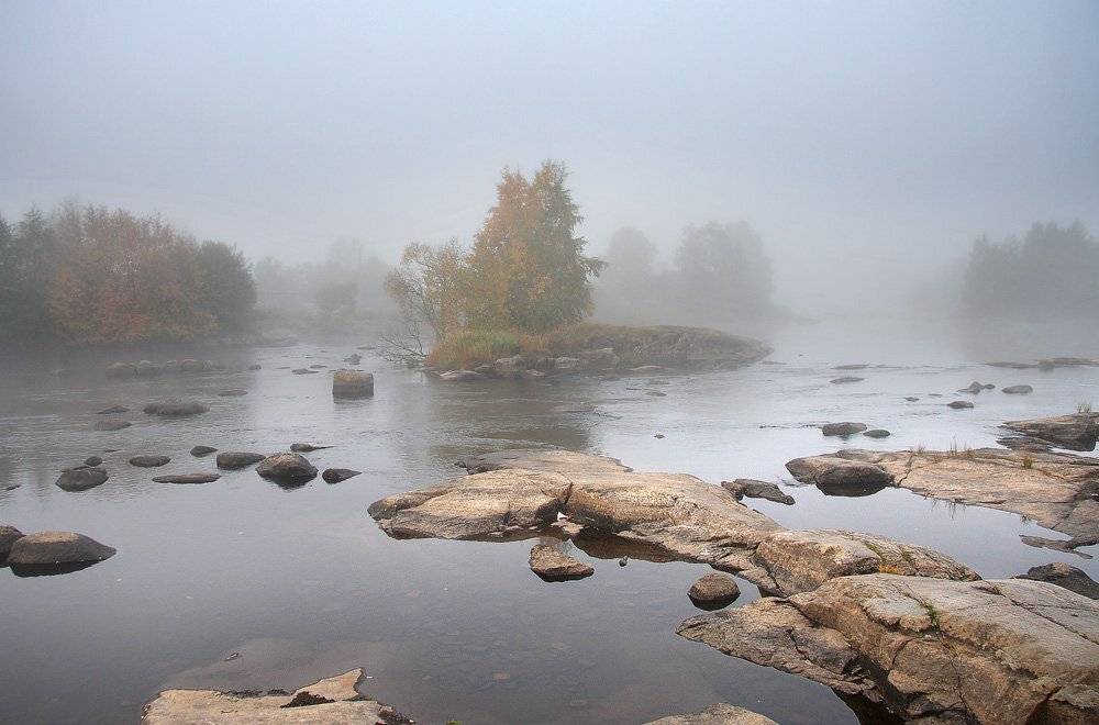 , Александр Коротков