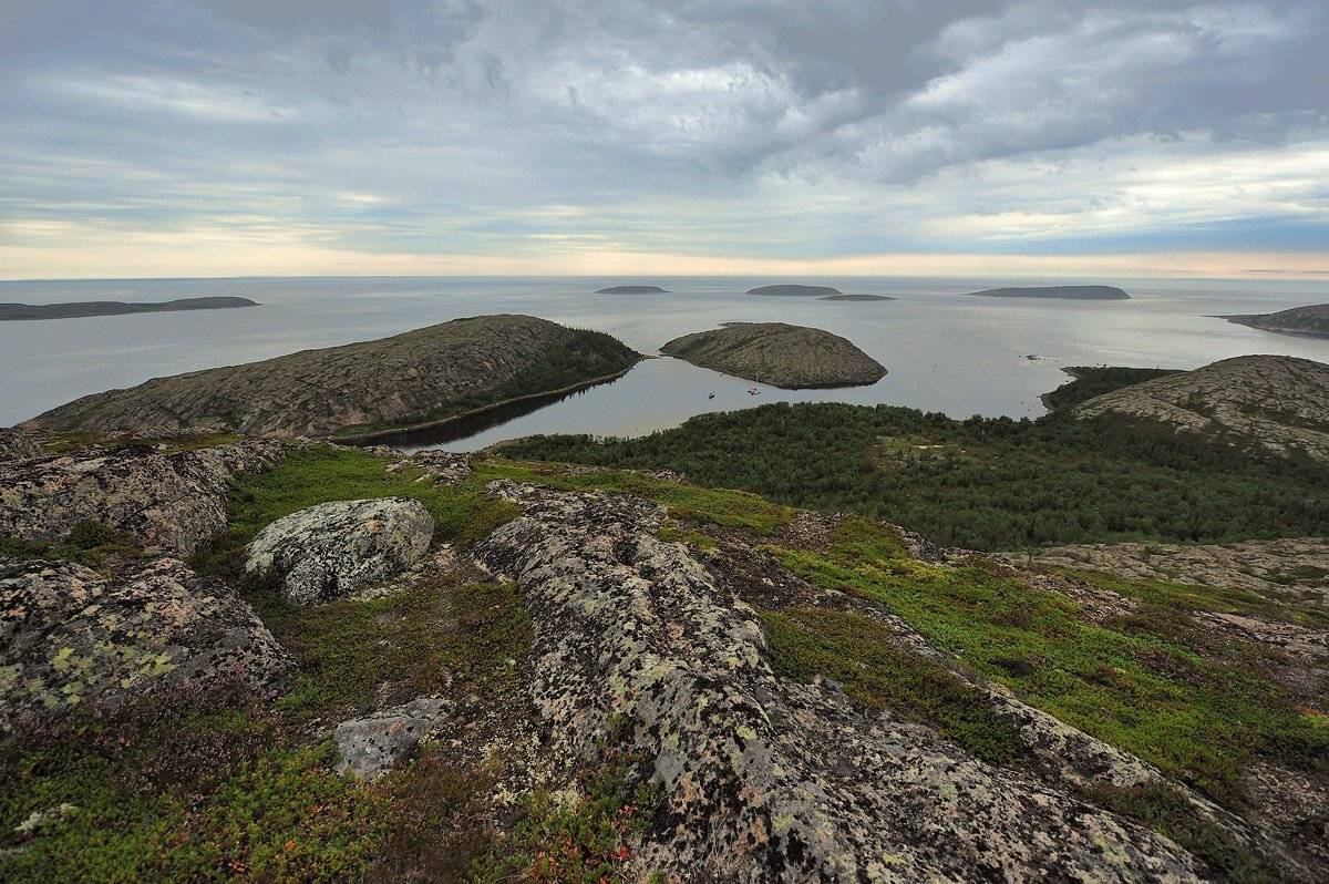 кузова, белое море,, Сергей Седов