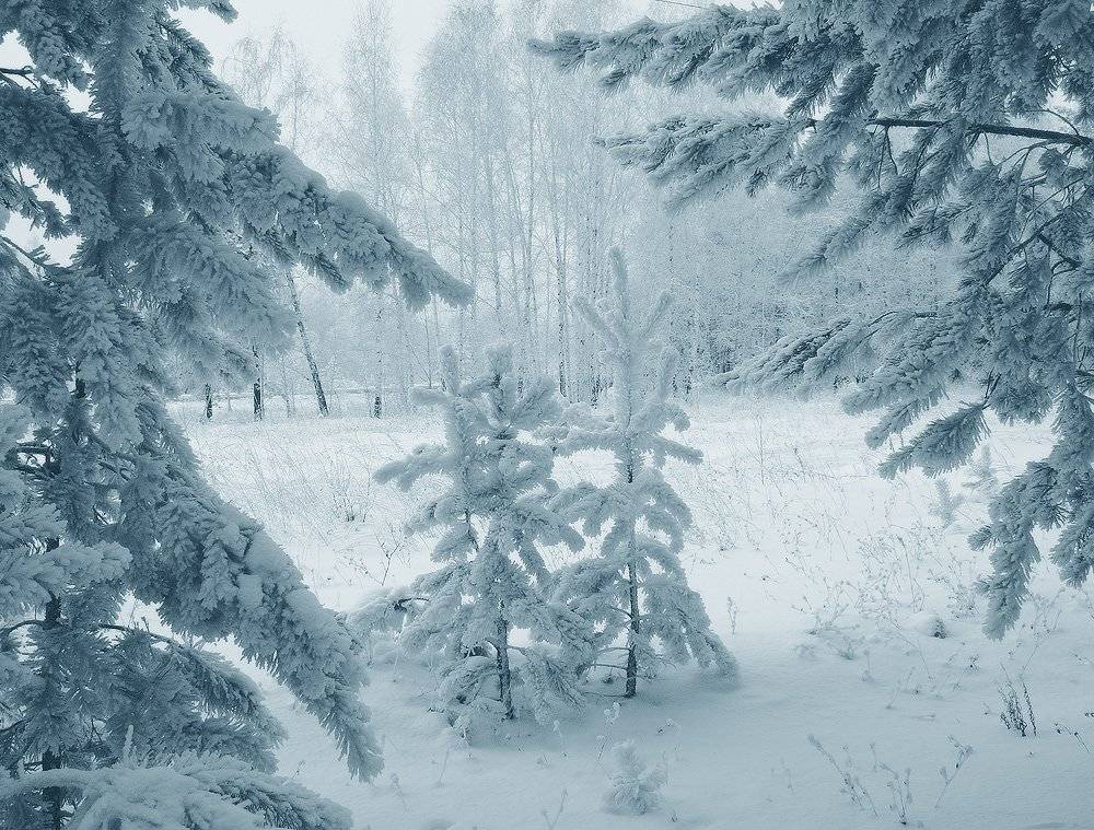 , Николай Морский