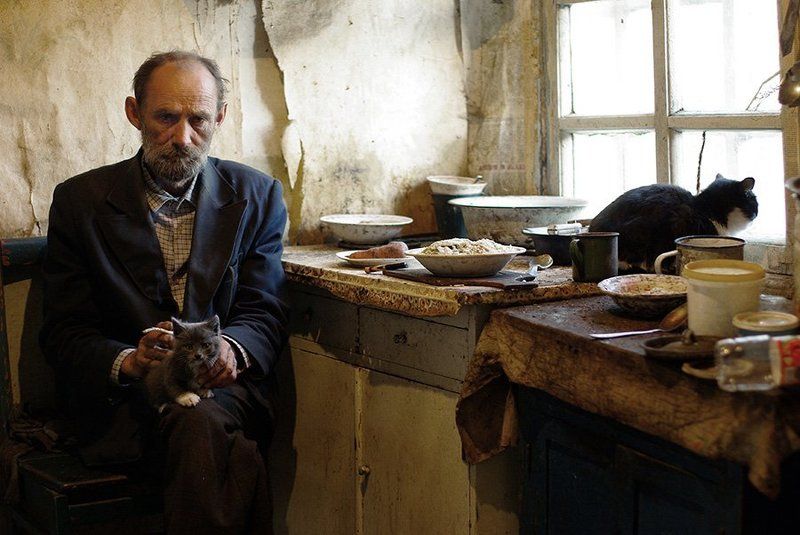 Портрет с кошками фото превью