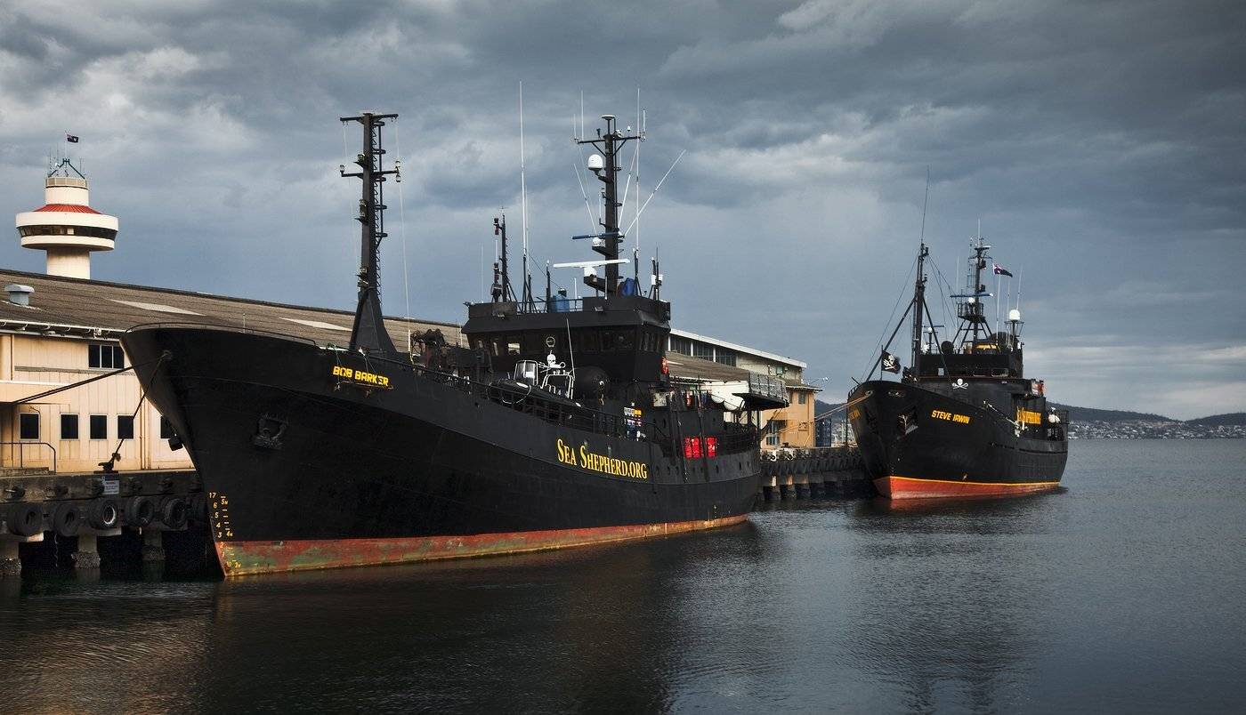 sea shepherd, hobart, Inesa Hill