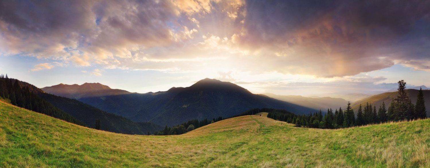 , Денис Кривой