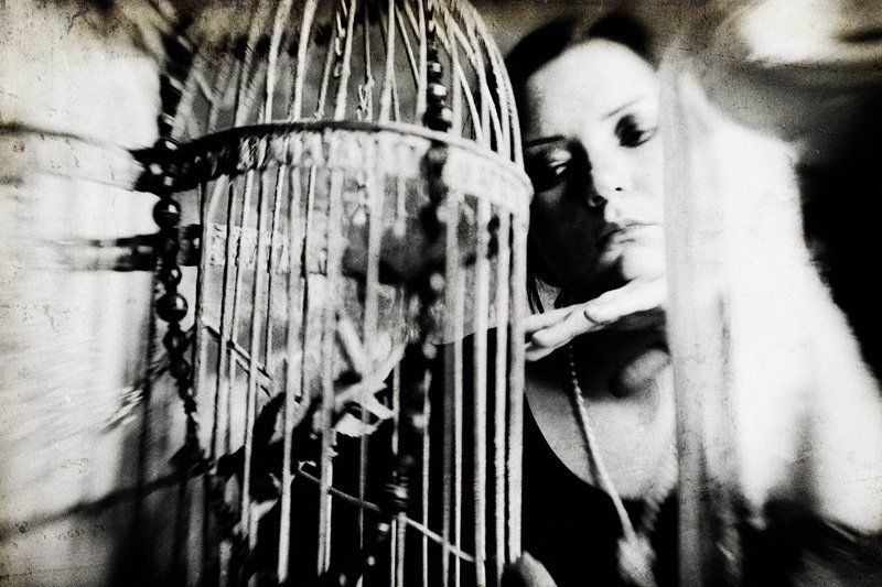 echoes фото превью