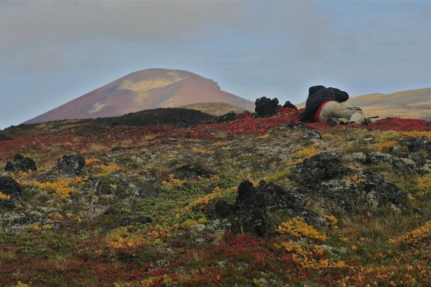 камчатка, осенние краски, осенняя тундра, Ирина Назарова