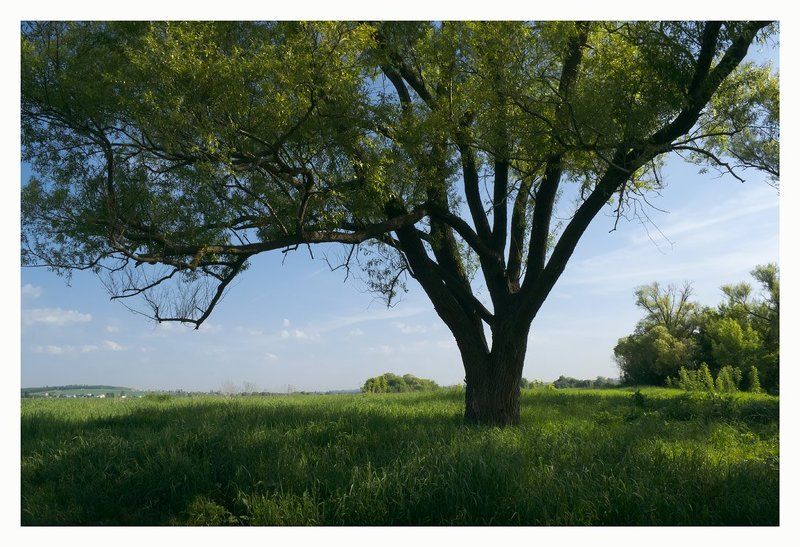 * * * фото превью