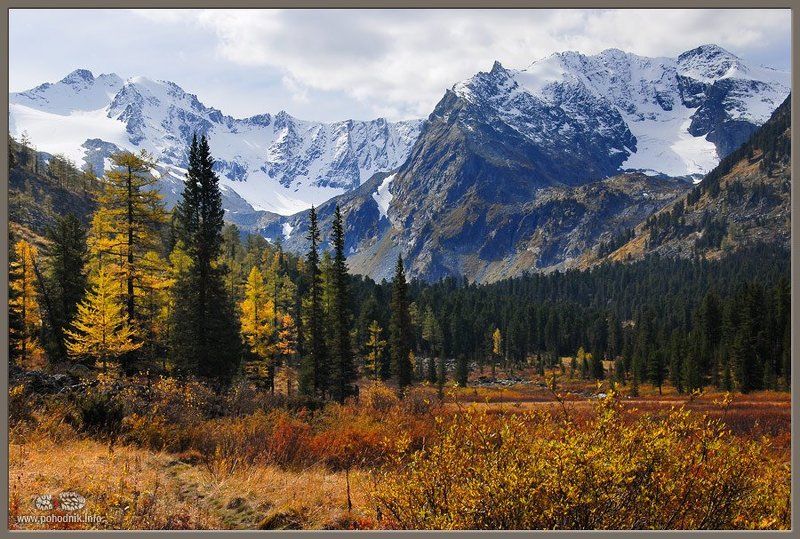 Осенние краски Алтая фото превью
