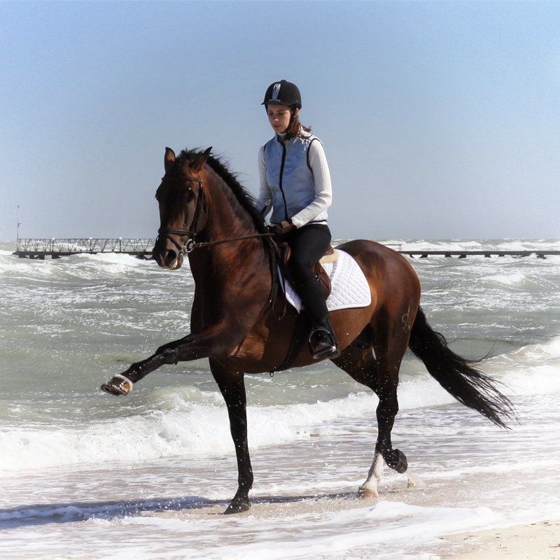 лошади, horse моя настоящая работа фото превью