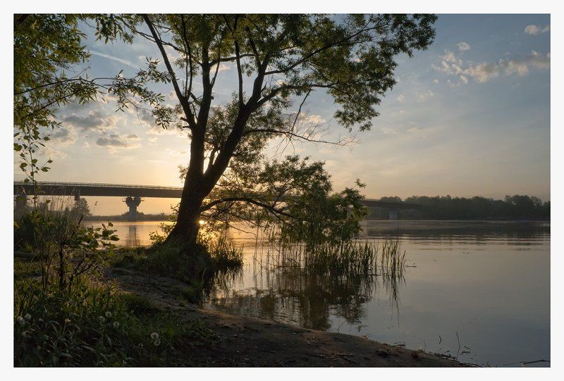 * * * фото превью