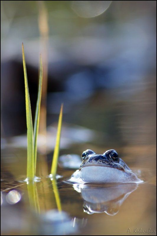 Без забот фото превью