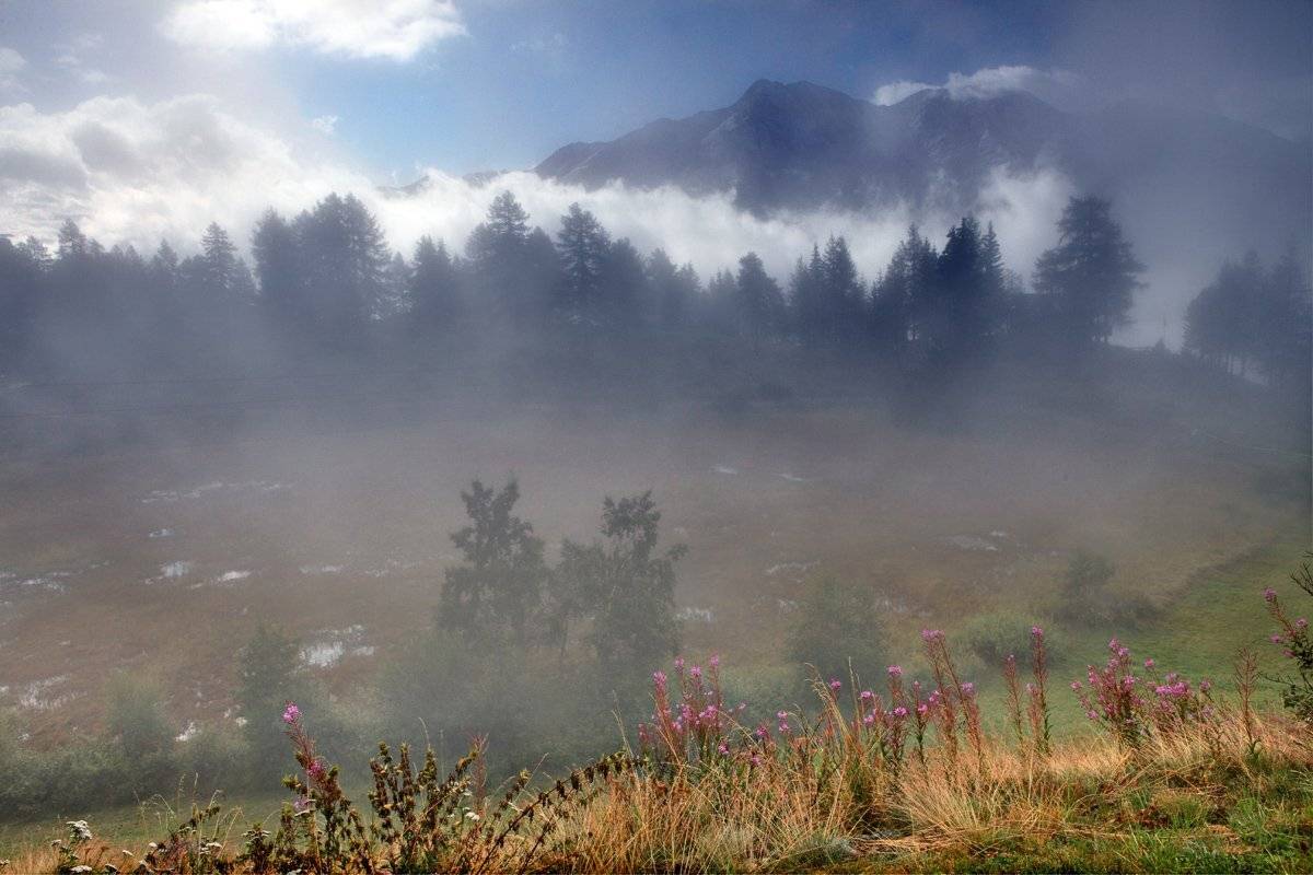 swiss,marjelensee, Матвеев Николай