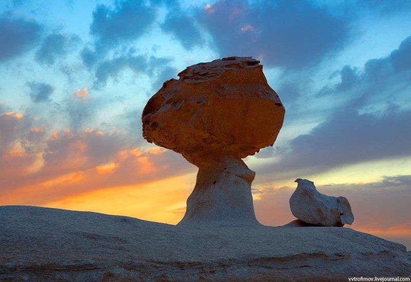 sahara, white desert, egypt, сахара, белая пустыня, египет Chicken & Mushroom фото превью