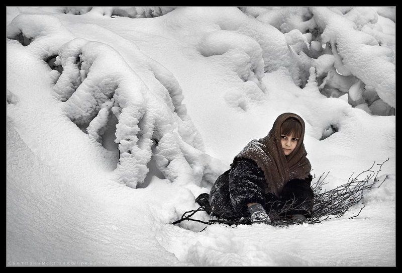 Тихо в лесу фото превью