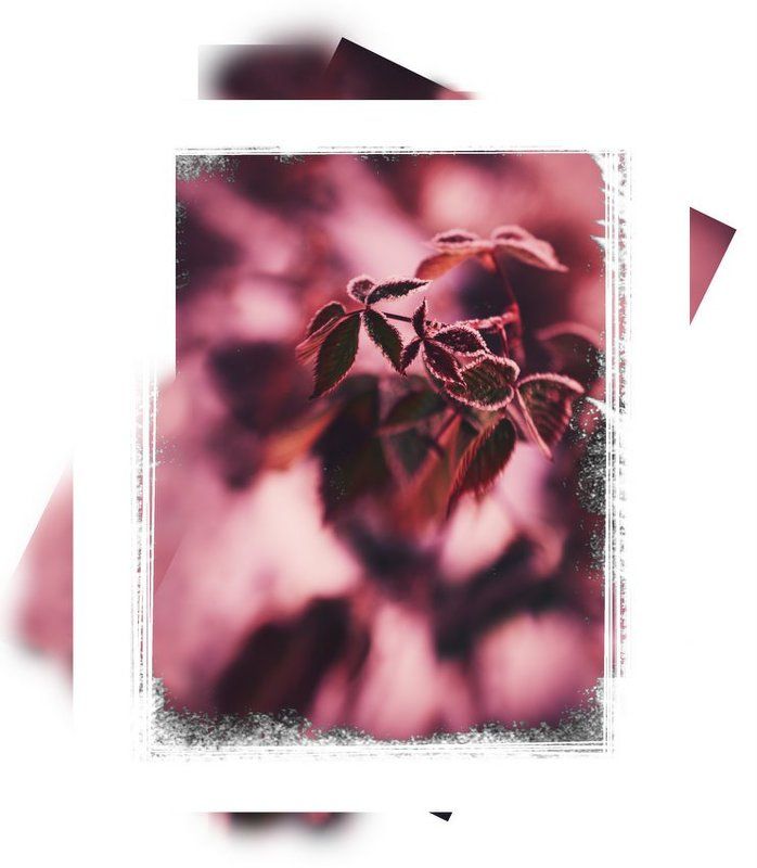 *** фото превью